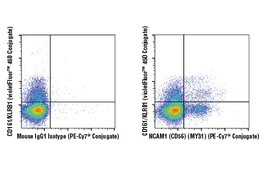 Flow Cytometry Image 2: NCAM1 (CD56) (MY31) Mouse mAb (PE-Cy7® Conjugate)
