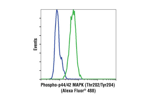 Flow Cytometry Image 1: Phospho-p44/42 MAPK (Erk1/2) (Thr202/Tyr204) (D13.14.4E) XP® Rabbit mAb (Alexa Fluor® 488 Conjugate)