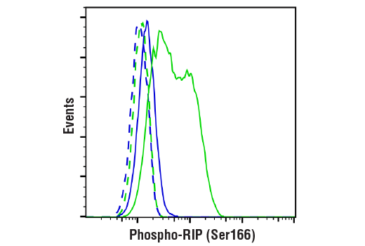 Flow Cytometry Image 1: Phospho-RIP (Ser166) (D8I3A) Rabbit mAb (BSA and Azide Free)