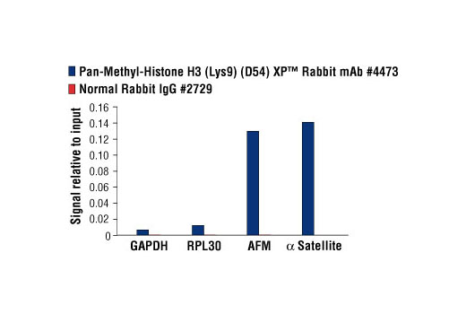 Chromatin Immunoprecipitation Image 1: Pan-Methyl-Histone H3 (Lys9) (D54) XP® Rabbit mAb