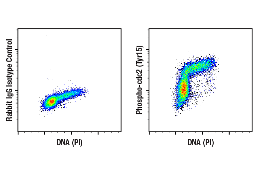Flow Cytometry Image 1: Phospho-cdc2 (Tyr15) (10A11) Rabbit mAb (BSA and Azide Free)