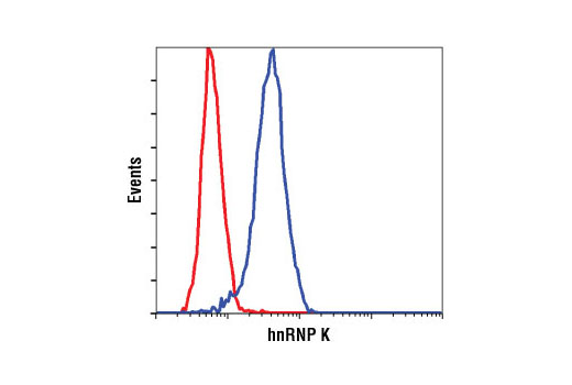 Flow Cytometry Image 1: hnRNP K (R332) Antibody