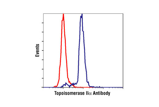 Flow Cytometry Image 1: Topoisomerase IIα Antibody