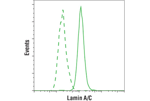 Flow Cytometry Image 2: Lamin A/C (4C11) Mouse mAb