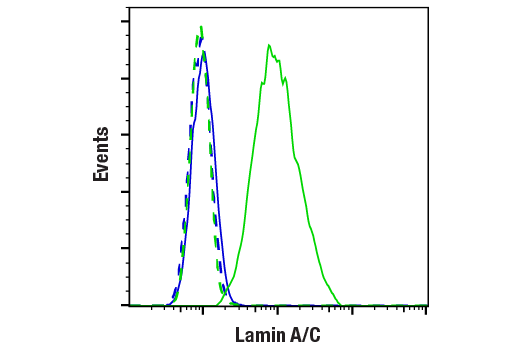 Flow Cytometry Image 1: Lamin A/C (4C11) Mouse mAb