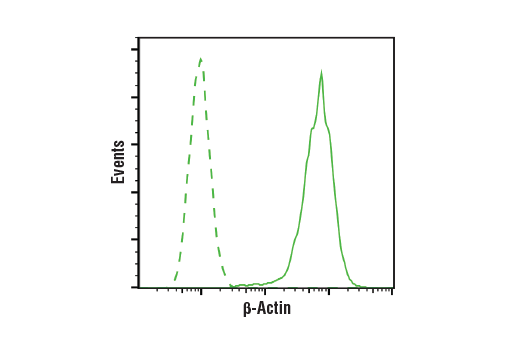 Flow Cytometry Image 1: β-Actin (13E5) Rabbit mAb