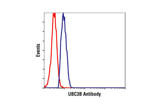 Flow Cytometry Image 1: UBC3B Antibody