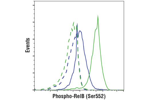 Flow Cytometry Image 1: Phospho-RelB (Ser552) Antibody