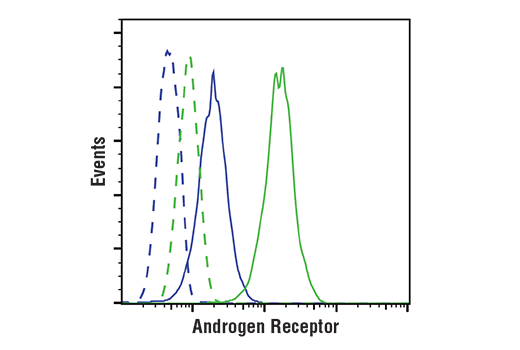  Image 12: PhosphoPlus® Androgen Receptor (Ser310) Antibody Duet