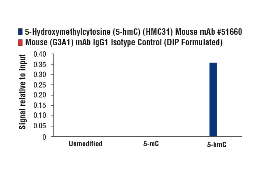  Image 3: 5-Hydroxymethylcytosine (5-hmC) (HMC31) Mouse mAb