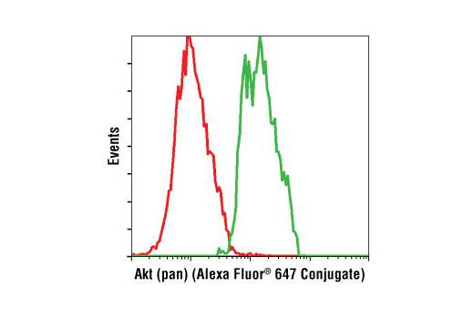 Flow Cytometry Image 1: Akt (pan) (C67E7) Rabbit mAb (Alexa Fluor® 647 Conjugate)