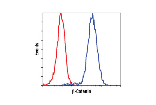 Flow Cytometry Image 1: β-Catenin (L54E2) Mouse mAb (Biotinylated)