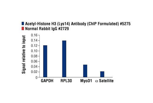 Chromatin Immunoprecipitation Image 1: Acetyl-Histone H3 (Lys14) Antibody (ChIP Formulated)