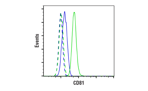 Flow Cytometry Image 1: CD81 (E2K9V) Rabbit mAb (BSA and Azide Free)
