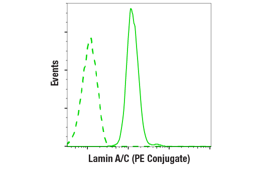 Flow Cytometry Image 1: Lamin A/C (4C11) Mouse mAb (PE Conjugate)