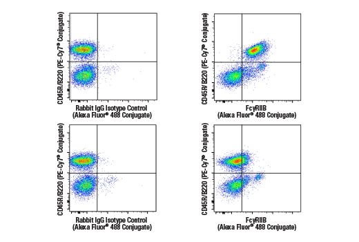 Flow Cytometry Image 1: FcγRIIB (D8F9C) XP® Rabbit mAb (Alexa Fluor® 488 Conjugate)