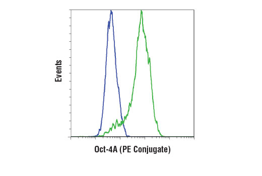 Flow Cytometry Image 1: Oct-4A (C30A3) Rabbit mAb (PE Conjugate)