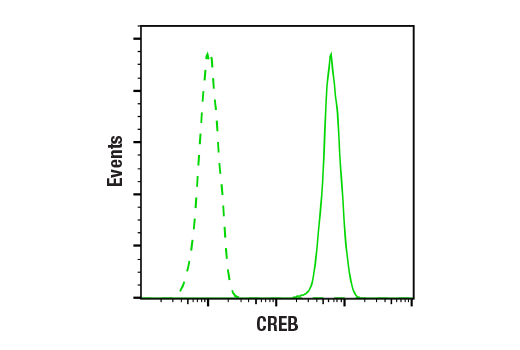 Flow Cytometry Image 1: CREB (48H2) Rabbit mAb (BSA and Azide Free)