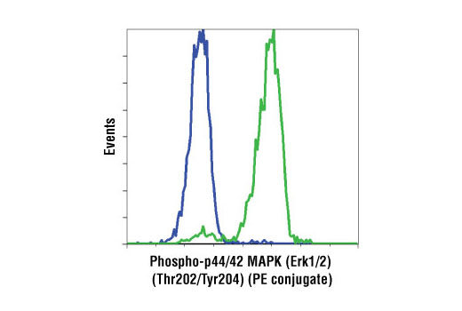 Flow Cytometry Image 1: Phospho-p44/42 MAPK (Erk1/2) (Thr202/Tyr204) (D13.14.4E) XP® Rabbit mAb (PE Conjugate)