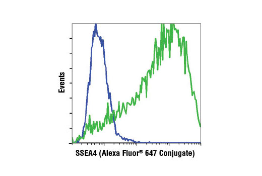 Flow Cytometry Image 1: SSEA4 (MC813) Mouse mAb (Alexa Fluor® 647 Conjugate)