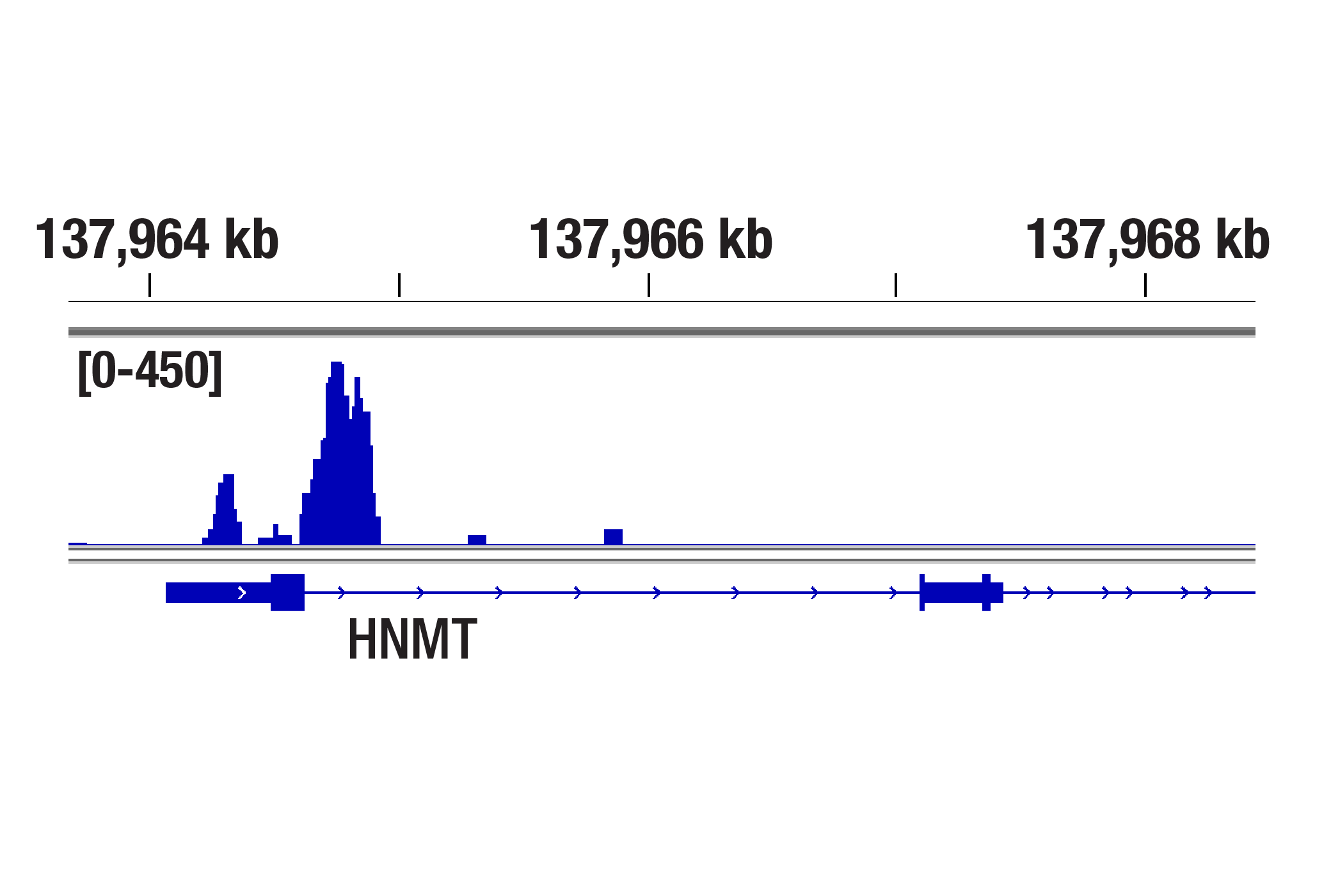  Image 5: GATA Transcription Factor Antibody Sampler Kit