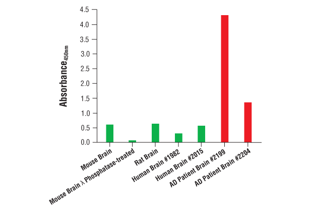 PathScan Phospho Tau Thr217 Sandwich ELISA Kit Cell Signaling