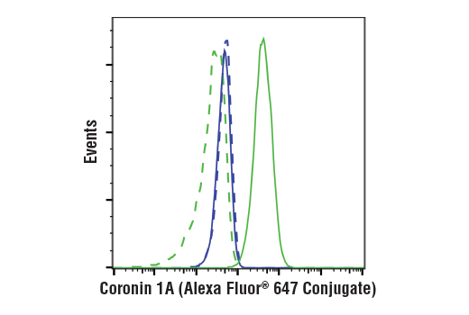 Flow Cytometry Image 1: Coronin 1A (D6K5B) XP® Rabbit mAb (Alexa Fluor® 647 Conjugate)