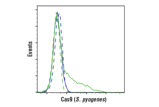  Image 14: Cas9 and Associated Proteins Antibody Sampler Kit