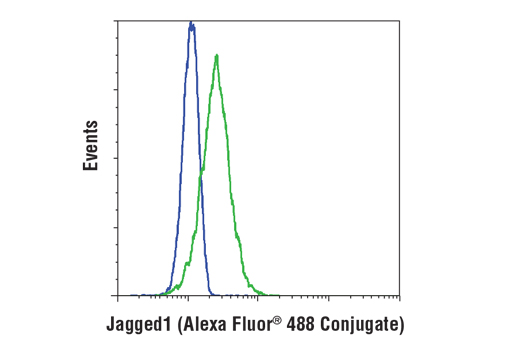 Flow Cytometry Image 1: Jagged1 (D4Y1R) XP® Rabbit mAb (Alexa Fluor® 488 Conjugate)