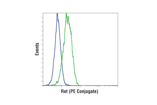 Flow Cytometry Image 1: Ret (E1N9A) Rabbit mAb (PE Conjugate)