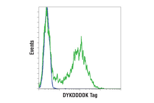 Flow Cytometry Image 1: DYKDDDDK Tag (D6W5B) Rabbit mAb (Binds to same epitope as Sigma-Aldrich Anti-FLAG M2 antibody) (BSA and Azide Free)