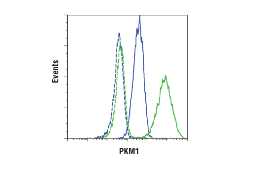 Flow Cytometry Image 1: PKM1 (D30G6) XP® Rabbit mAb