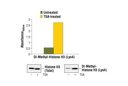  Image 1: PathScan® Di-Methyl-Histone H3 (Lys4) Sandwich ELISA Kit