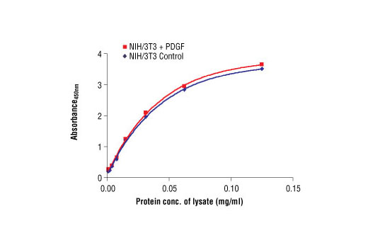  Image 1: PathScan® Total S6 Ribosomal Protein Sandwich ELISA Antibody Pair