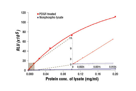  Image 1: PathScan® Phospho-S6 Ribosomal Protein (Ser235/236) Chemiluminescent Sandwich ELISA Kit