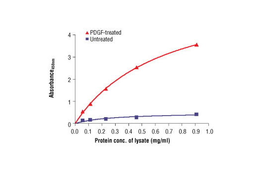  Image 1: PathScan® Phospho-PDGF Receptor α (Tyr849) Sandwich ELISA Antibody Pair