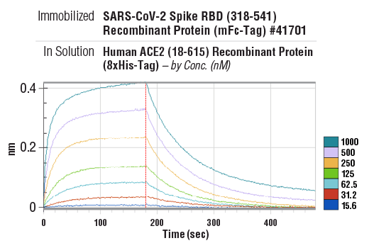 Image 1: Human ACE2 (18-615) Recombinant Protein (8xHis-Tag)