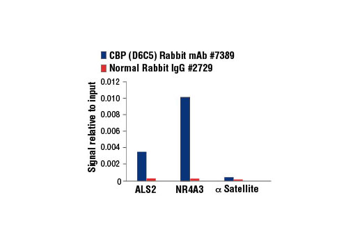  Image 25: PPARγ Regulated Fatty Acid Metabolism Antibody Sampler Kit
