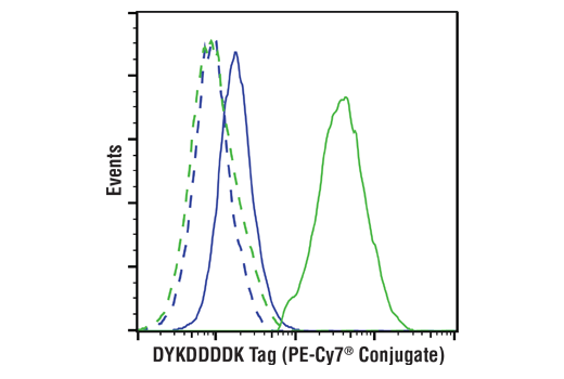 Flow Cytometry Image 1: DYKDDDDK Tag (D6W5B) Rabbit mAb (Binds to same epitope as Sigma-Aldrich Anti-FLAG M2 antibody) (PE-Cy7® Conjugate)