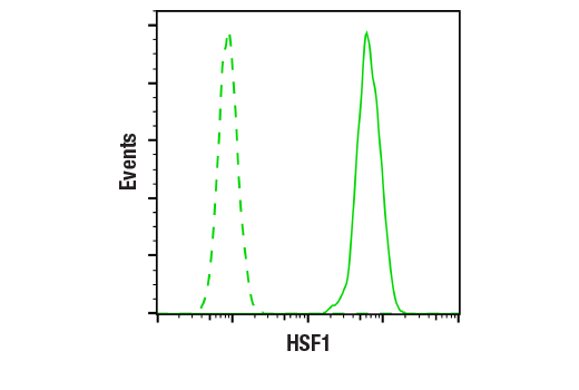 Flow Cytometry Image 1: HSF1 (D3L8I) Rabbit mAb (BSA and Azide Free)