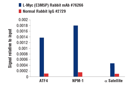 Chromatin Immunoprecipitation Image 1: L-Myc (E3M5P) Rabbit mAb