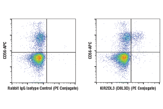 Flow Cytometry Image 1: KIR2DL3 (D8L3D) Rabbit mAb (PE Conjugate)