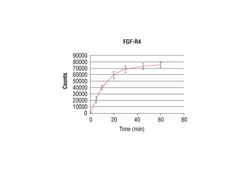  Image 4: HTScan® FGF Receptor 4 Kinase Assay Kit