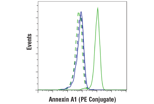 Flow Cytometry Image 1: Annexin A1 (D5V2T) XP® Rabbit mAb (PE Conjugate)