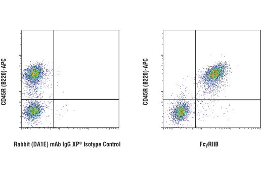 Flow Cytometry Image 1: FcγRIIB (D8F9C) XP® Rabbit mAb (BSA and Azide Free)