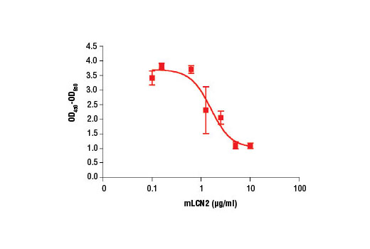  Image 1: Mouse Lipocalin-2 (mLCN2)
