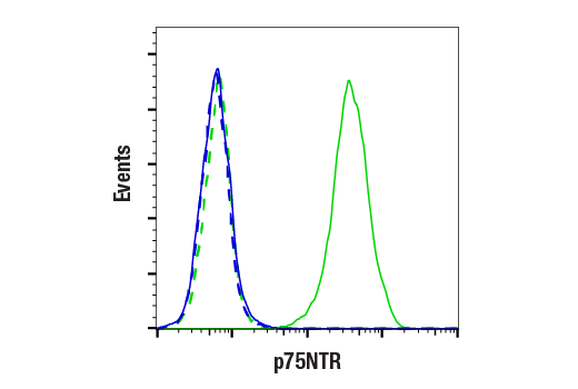 Flow Cytometry Image 1: p75NTR (D4B3) XP® Rabbit mAb