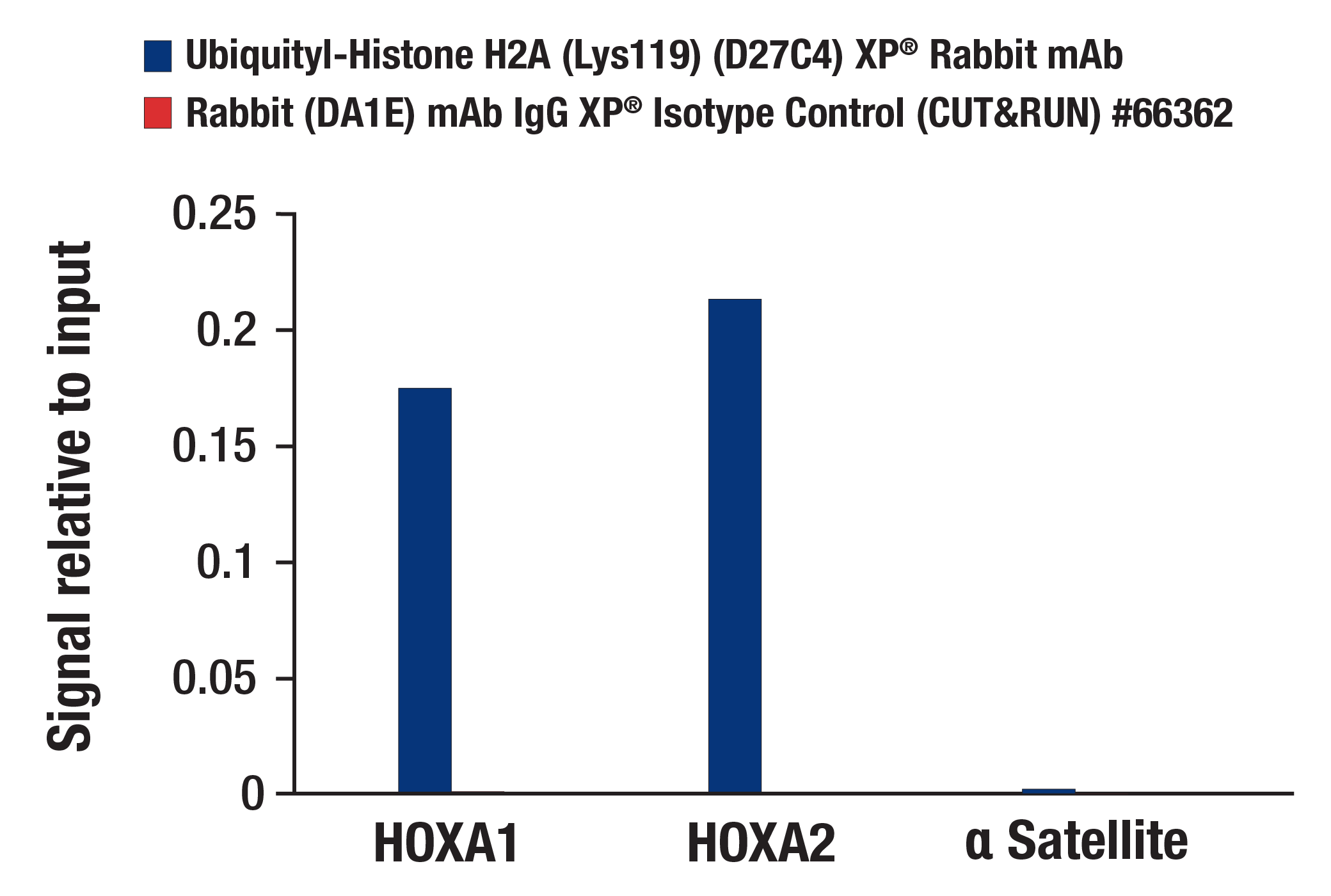 CUT and RUN Image 3: Ubiquityl-Histone H2A (Lys119) (D27C4) XP® Rabbit mAb