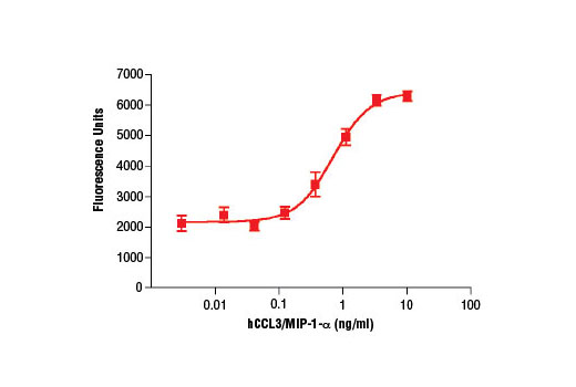  Image 1: Human C-C Motif Chemokine 3 (hCCL3/MIP-1-α)