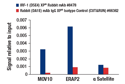 CUT and RUN Image 3: IRF-1 (D5E4) XP® Rabbit mAb